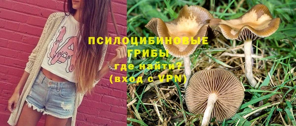 а пвп мука Бугульма
