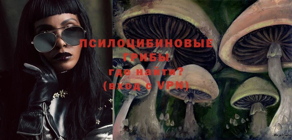 дживик Богданович