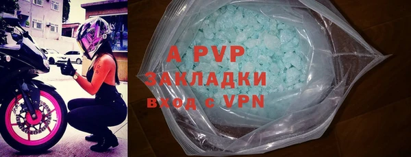 дживик Богданович