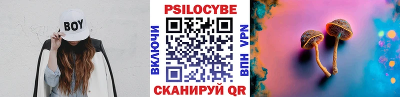 Галлюциногенные грибы мухоморы  Купить закладки  Кинель 